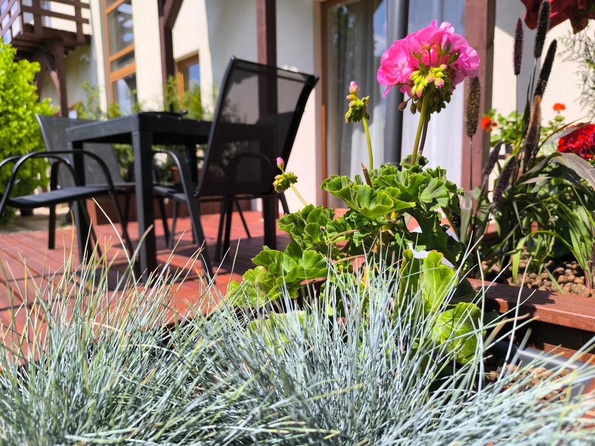 Flip-flops With Free Parking Apartment Jurmala