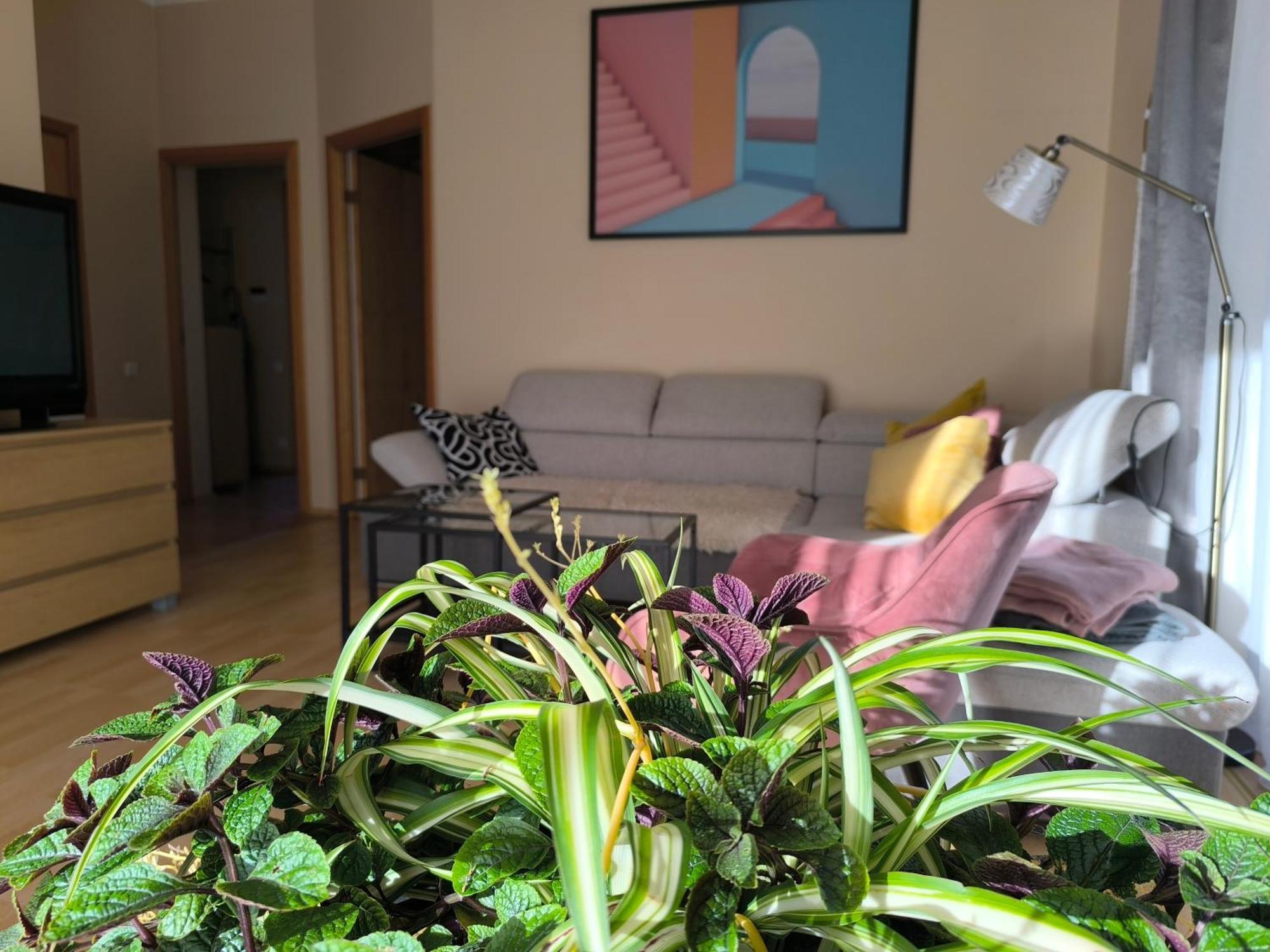 Flip-flops With Free Parking Jurmala